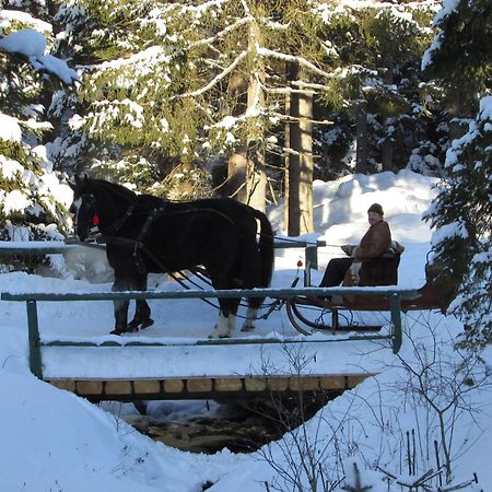 Koliba Ski Gruniky Sihelné Dış mekan fotoğraf