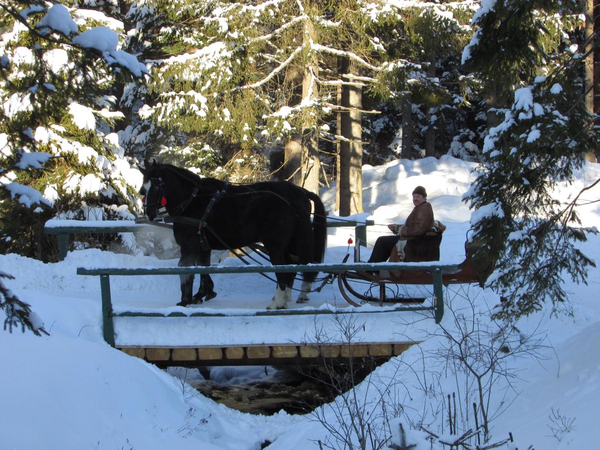 Koliba Ski Gruniky Sihelné Dış mekan fotoğraf